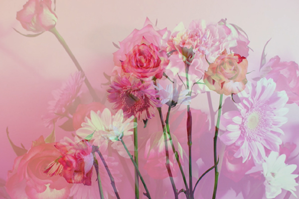 Floral – Stop Motion Animations
